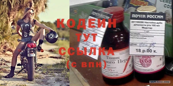 хмурый Алексин