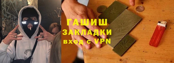 хмурый Алексин