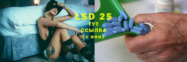 хмурый Алексин