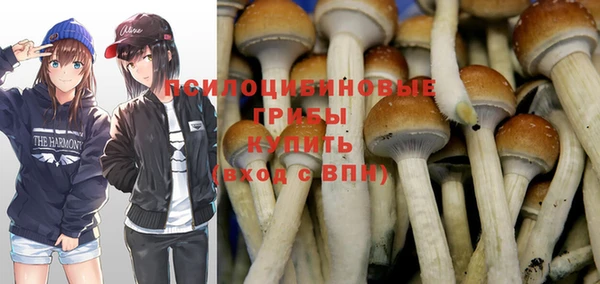 крисы Абаза