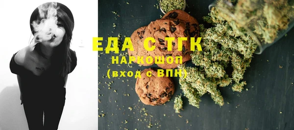 хмурый Алексин