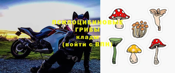 крисы Абаза