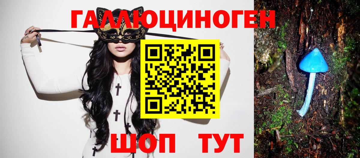 Псилоцибиновые грибы Magic Shrooms  Вход с VPN  Галлюциногенные грибы прущие грибы  дарнет шоп  Новочебоксарск 